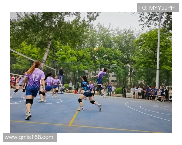 北京排球队在冠军赛中的战术运用与表现分析 北京排球队在冠军赛中的战术运用与表现分析