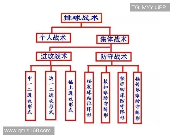 深圳排球队的战术解析与控制策略深度剖析 深圳排球队的战术解析与控制策略深度剖析