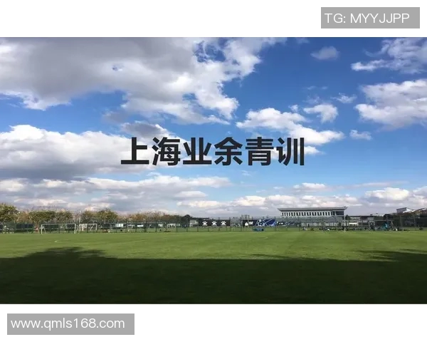 上海羽毛球队运营分析：成功经验与面临挑战的全面探讨