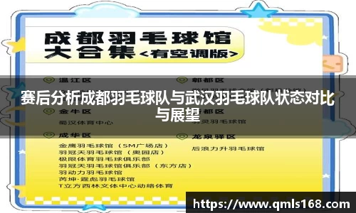 赛后分析成都羽毛球队与武汉羽毛球队状态对比与展望
